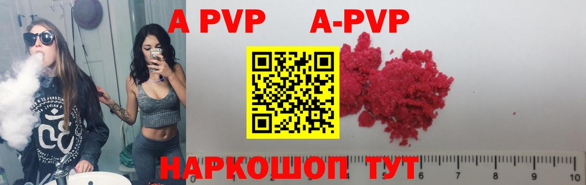 A-PVP СК КРИС Кызыл