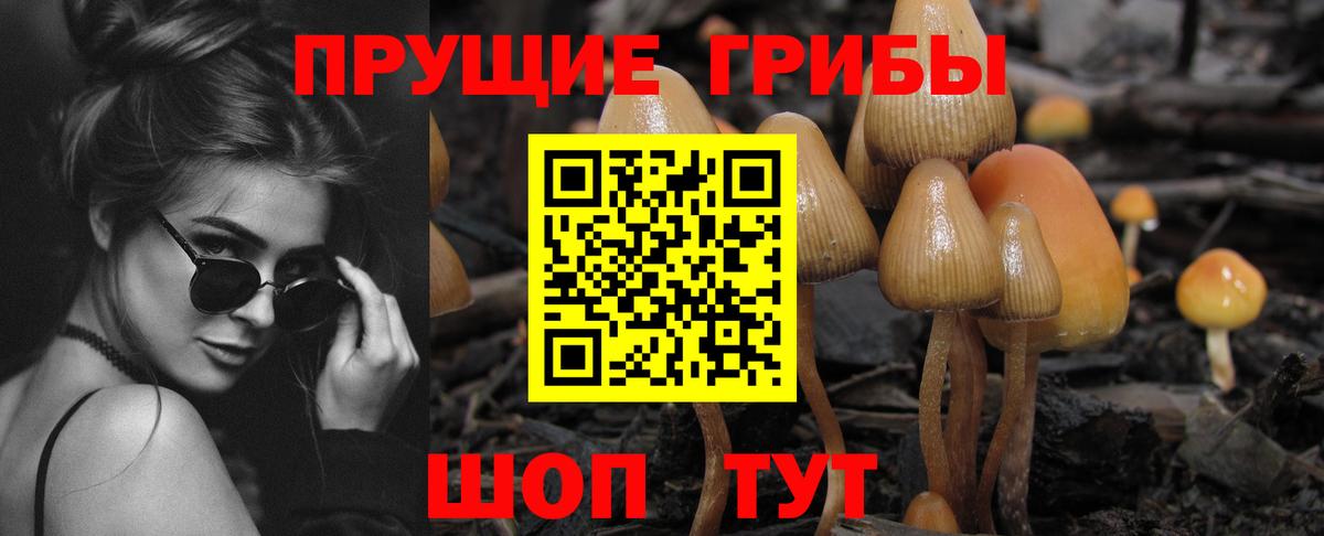 Кызыл  Галлюциногенные грибы ЛСД  Вход с VPN 